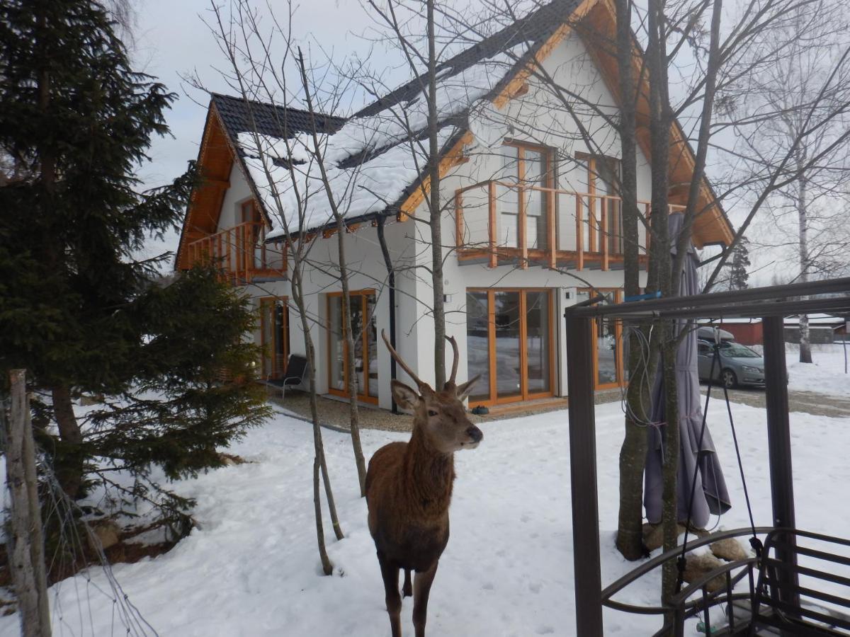 Chalet Deer Trail Tatranská Lomnica Exterior foto